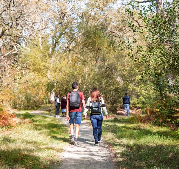 varias personas andando por el bosque de Orgi